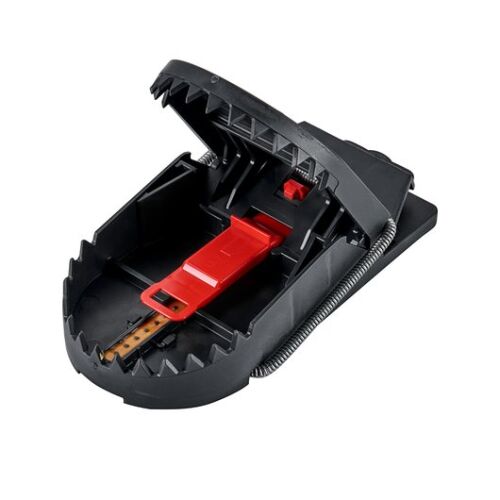 SUPER CAT Swiss Inno PRO rat trap with bait, open view