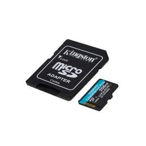 Kingston Canvas Go Plus 256GB microSDXC memory card with adapter - Memory Card
