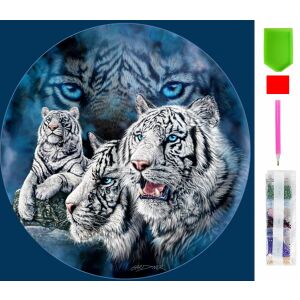 Kit de mozaic pentru broderie cu diamant pentru pictura cu diamant 5D 123 126374914 - Puzzle-uri diamant jigsaw