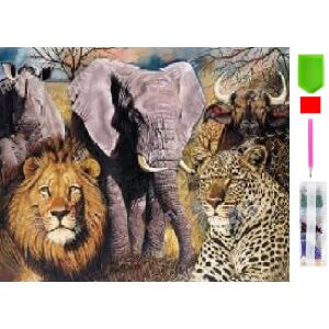 Kit de mozaic de broderie cu diamant pentru pictura cu diamant 5D 128 126374962 - Puzzle-uri diamant jigsaw