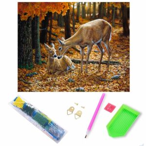 Set de pictură cu diamante cu toate materialele necesare - Puzzle-uri diamant jigsaw