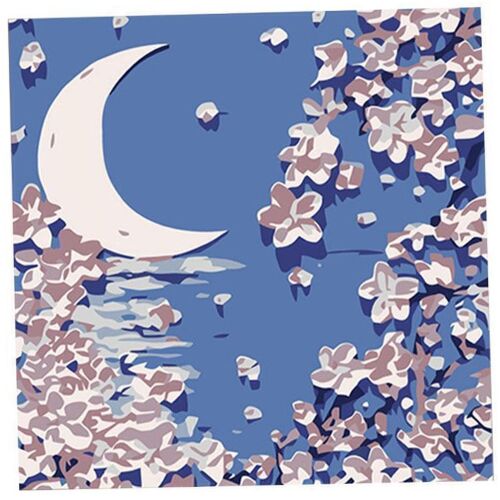 Sada na maľovanie podľa čísel s dizajnom mesiaca a kvetov