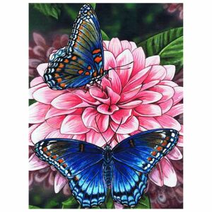 Zestaw do malowania według numerów z motylami i kwiatami - Sztuka i hobby