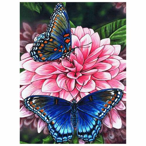 Számok alapján festő készlet pillangókkal és virágokkal