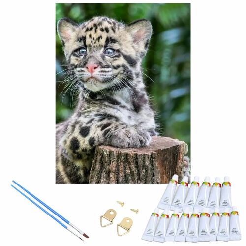 Maľovanie podľa čísel, obraz s rámom, sada na maľovanie, štetce, plátno 40x50 126375896