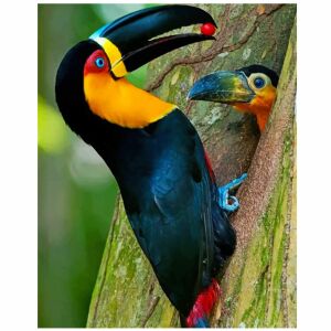 Картина за рисуване по номера с рамка, комплект „Направи си сам“, четки за рисуване на платно 40x50 126376243 - Комплект за изкуства и занаяти