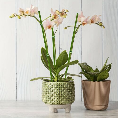 10db Zöld Hajlítható Növénytámasz Bot 140774887