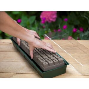 Propagator hydropóniás tálcával ablakba 64 cella 10 x 49 x 15,5cm 20 x 20mm (Nature) 126677585 - Nature