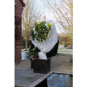 Téli fagy elleni takarófólia, 1 x 10 m, fehér (Nature) 126677595 - Nature