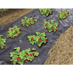 Fólia eperhez fekete perforált 1,40 x 20 m (Nature) 126677615 - Nature