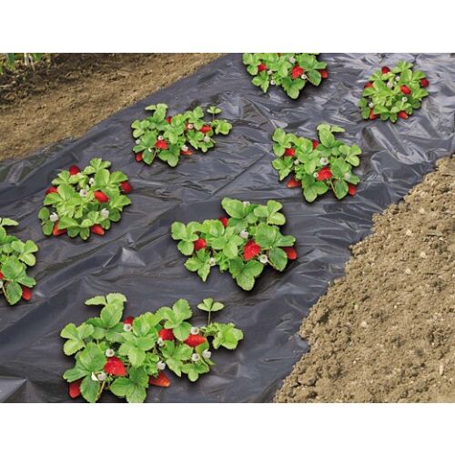 Fólia eperhez fekete perforált 1,40 x 20 m (Nature) 126677615