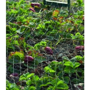 Madárháló, fekete, 5 m x 2 m 12 g/m2 (Nature) 126677618 - Nature