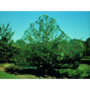 Növény/gyümölcs védő háló 8x8 m (Nature) 126677622 - Nature