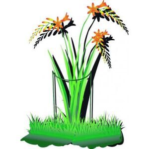 Virágtámasz 45 x 24 x 100 cm (Nature) 126677668 - Nature