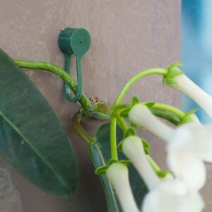 Futónövényrögzítő 15db (Nature) 126677675 - Nature