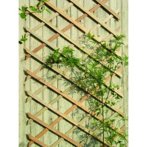 Fa ollós rács kúszónövényekhez, 100 x 200 cm, natúr - Nature
