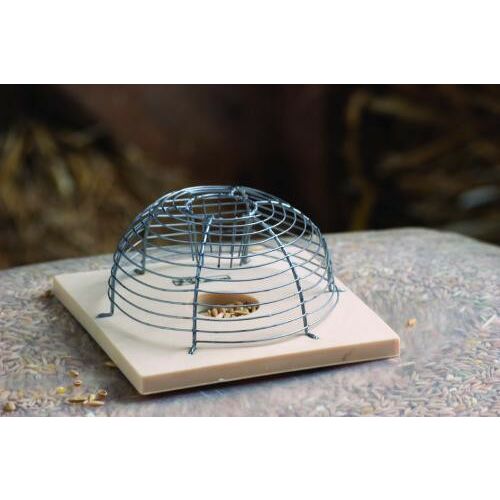 Élvefogó egércsapda drótkalitka műanyag alappal