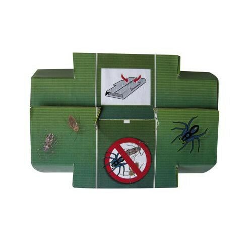 Csótánycsapda 6db-os (Nature)