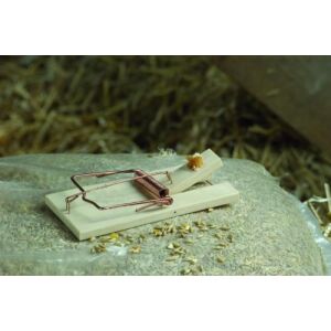 Egérfogó - fából készült 2 db 126679046 - Bros