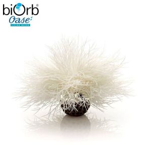Tengeri liliom dekoráció – fehér – 11 cm – biOrb 126679071 - Hal- & Hüllőtartás