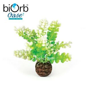 Tengeri alga dekoráció – 10 cm – biOrb 126679076 - Oase