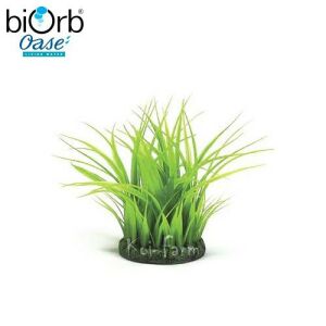 Fű gyűrű dekoráció – 15 cm – biOrb 126679082 - Hal- & Hüllőtartás