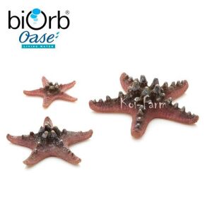 Tengeri csillag dekoráció – 3 db – pink – biOrb 126679085 - Oase