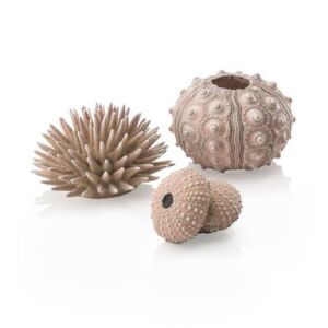 biOrb Sea urchins set natural 126679088 - Oase