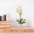 Bewello Prémium orchidea Műnövény dekoráció - orchidea - fehér - 48 cm 11901b 126852149
