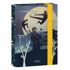Ars Una Ninjas in the Dark A5 füzetbox fiúknak - Füzetbox