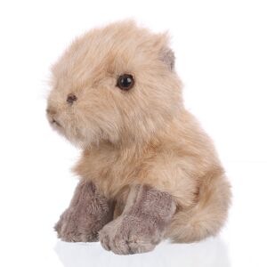 Casa - plüss capybara