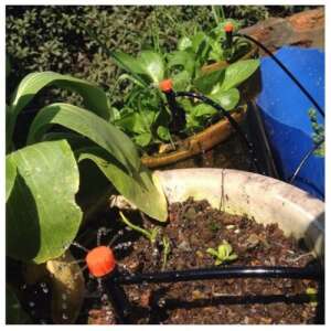 Öntöző Csepegtető Rendszer 51 részes 15m Tömlővel