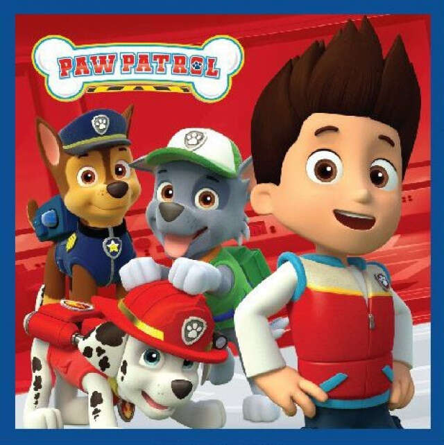 Ręcznik do twarzy Paw Patrol Magic Hand Towel, ręcznik 30x30cm