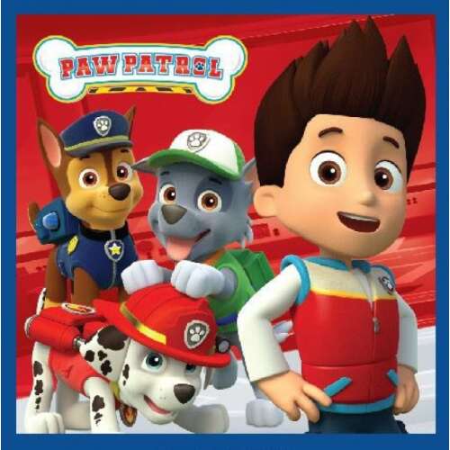 Prosop magic Paw Patrol 30x30cm cu Ryder, Chase, Rocky și Marshall
