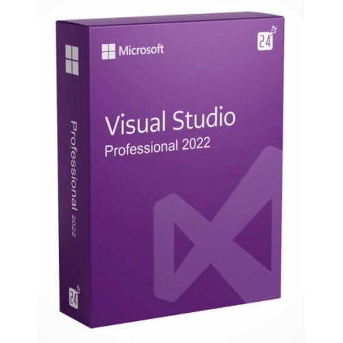 Microsoft Visual Studio 2022 Professional 135950324