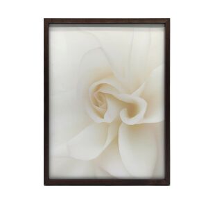 KERET FALI PLAKÁT BLACK ESSENTIAL ROSES 40x50 CM MATT 127769062 - Falikép