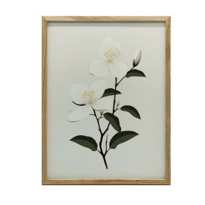 KERET FALI PLAKÁT JÁSMIN ÁG VIRÁGOK 50x70 CM 127804565 - Falikép