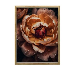 KERET FALI PLAKÁT NARANCS PIÓNYA 50x70 CM ARANY KERET 127820190 - Falikép