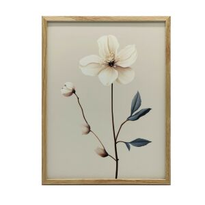 PLAKÁT FALRA ARANY KERETBEN, FEHÉR kökörcsin 50x70 CM MINIMALIZMUS 127838423 - Falikép