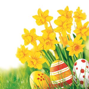 Húsvéti nárcisz szalvéta húsvéti tojásokkal, 33x33 cm - Szalvéta