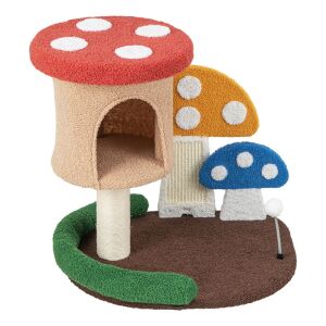 Macska mászóka gomba