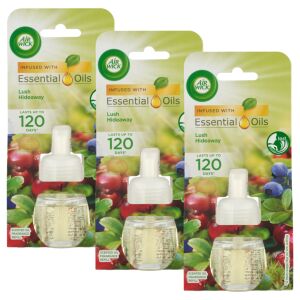 Air Wick Buja Rejtek Wkład do elektrycznego odświeżacza powietrza 3x19ml 128091756