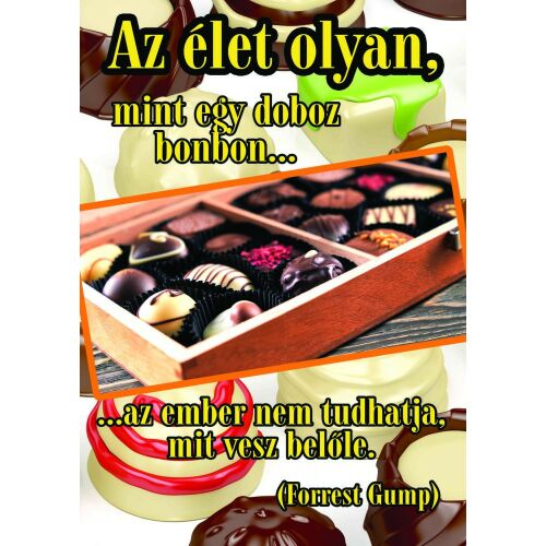 Forrest Gump Idézet Puzzle, 120 darabos. "Az élet olyan, mint egy doboz bonbon... sosem tudhatod, mit veszel belőle." - Játék