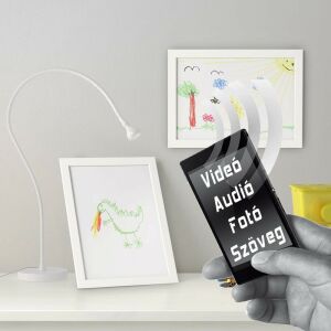 Falikép – Sehol annyi virág (videóvetítő opcióval)