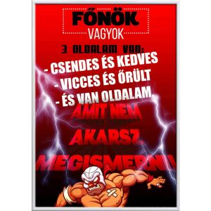 Falikép – Főnök vagyok, három oldalam van...  (videóvetítő opcióval)