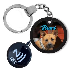 Fényképes Kutyabiléta digitális chippel (felkódoljuk a kutya adatait)