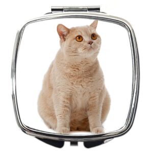 Sminktükör molett cicás mintával (feliratozható)