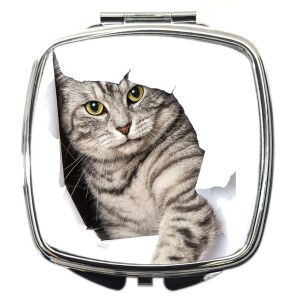 Sminktükör brit cicás képpel (feliratozható)