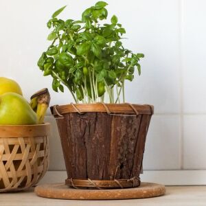 Kéreg kaspó 12,5cm