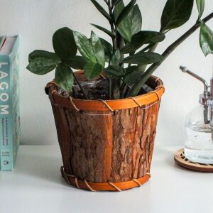 Kéreg kaspó 14,5cm